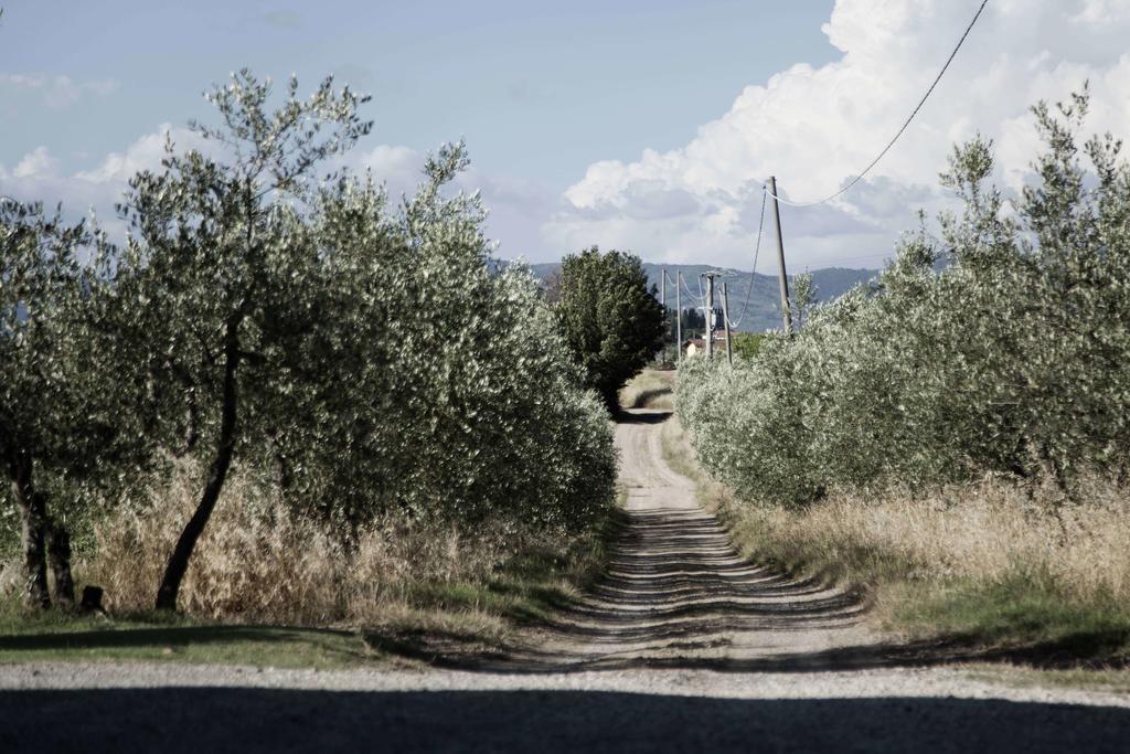 Villa Tenuta Di Colle Alberti Agriturismo à Cerreto Guidi Extérieur photo